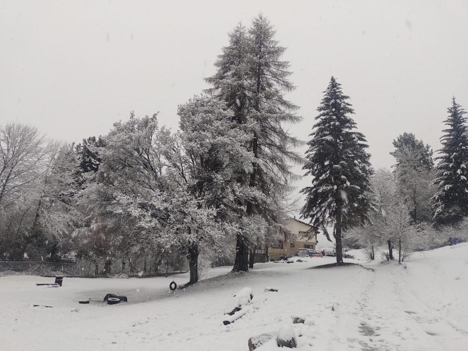 Posada Del Nireco Сан-Карлос-де-Барилоче Экстерьер фото