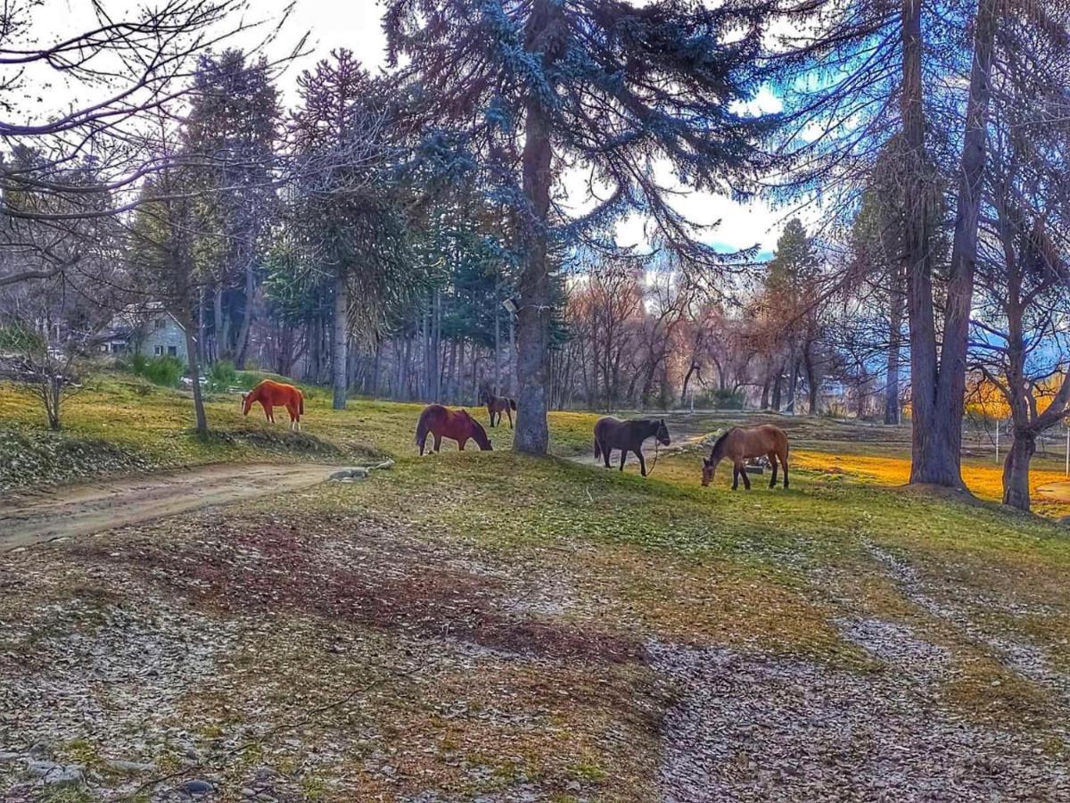 Posada Del Nireco Сан-Карлос-де-Барилоче Экстерьер фото