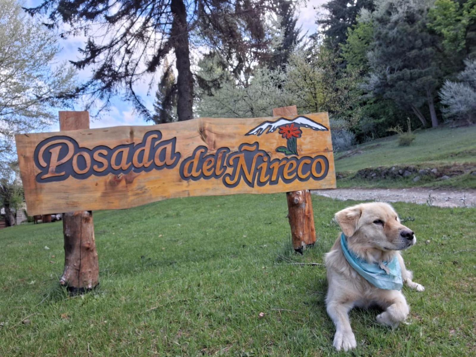 Posada Del Nireco Сан-Карлос-де-Барилоче Экстерьер фото