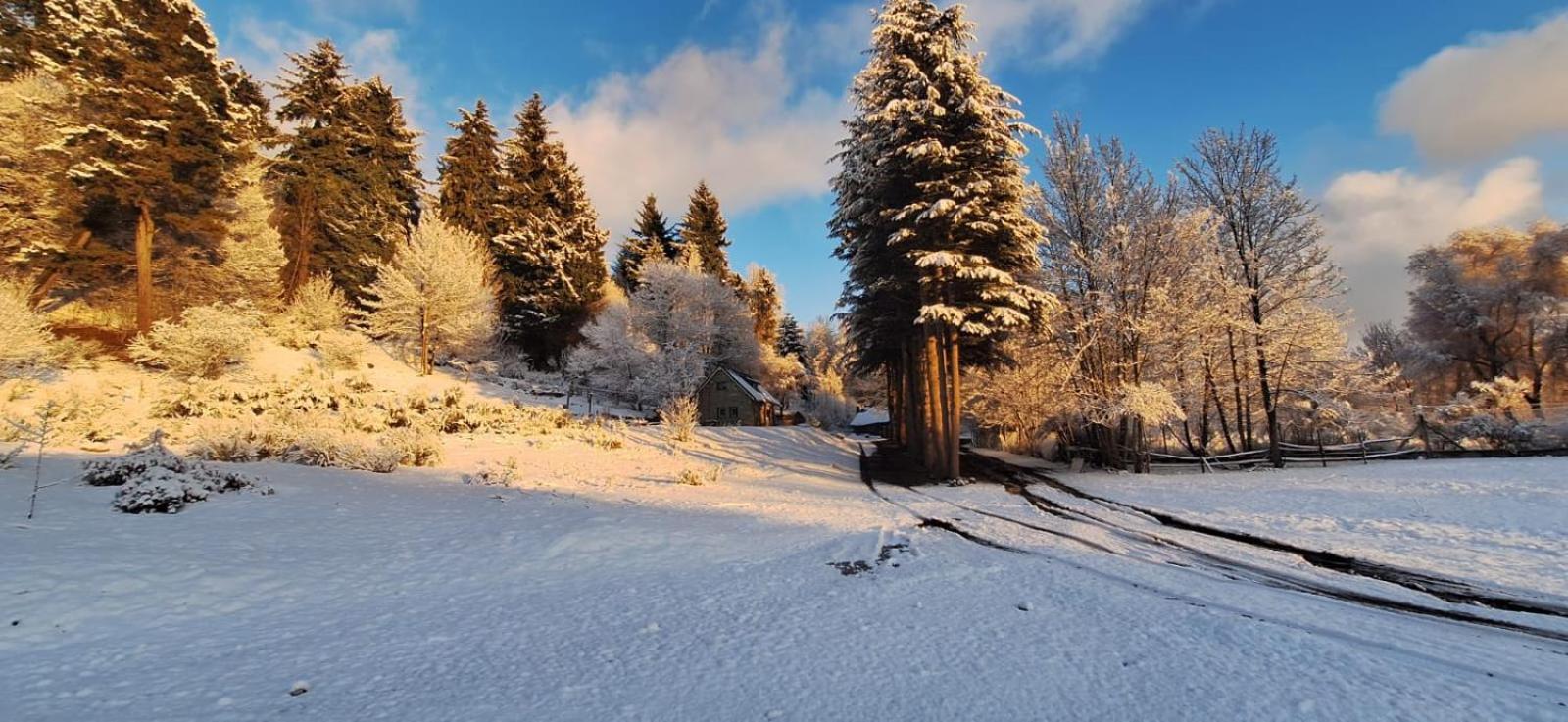 Posada Del Nireco Сан-Карлос-де-Барилоче Экстерьер фото